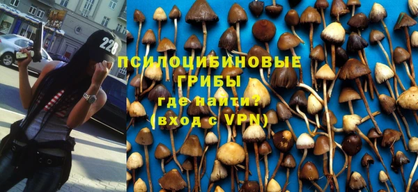 ALPHA PVP Вяземский