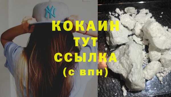 тгк Володарск